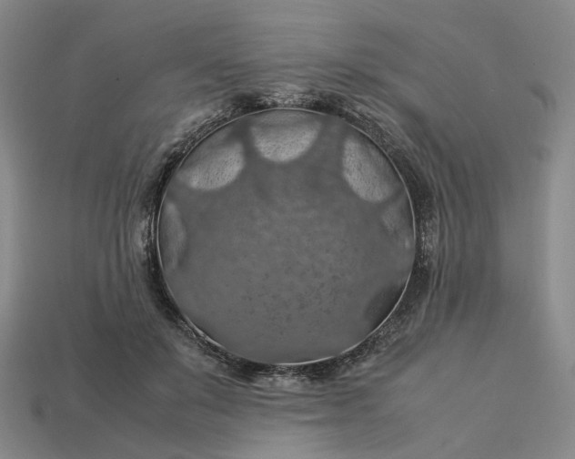 X0000112950503200909071118