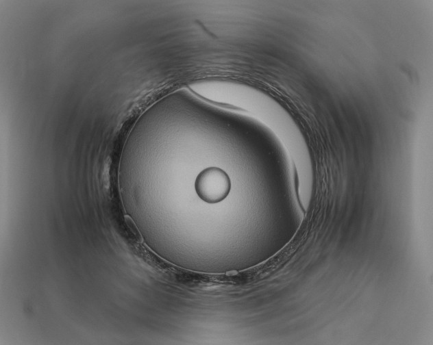 X0000112950504200909071118