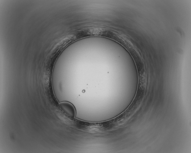 X0000112950505200909071118