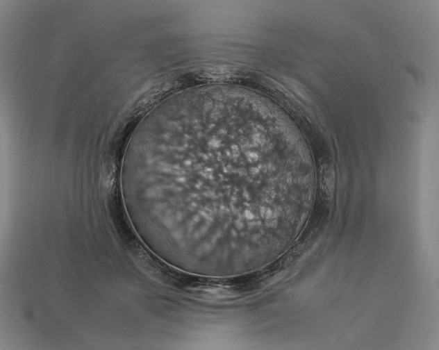 X0000112950507200909071118