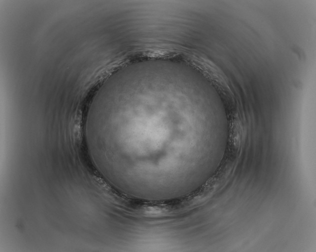 X0000112950510200909071118