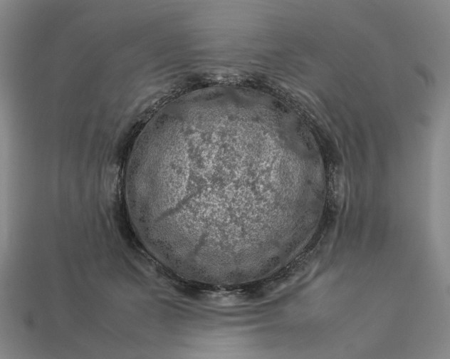 X0000112950511200909071118