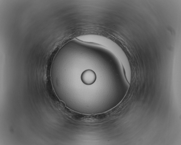 X0000112950512200909071118