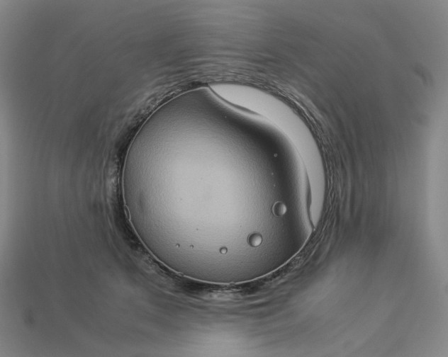 X0000112950513200909071118