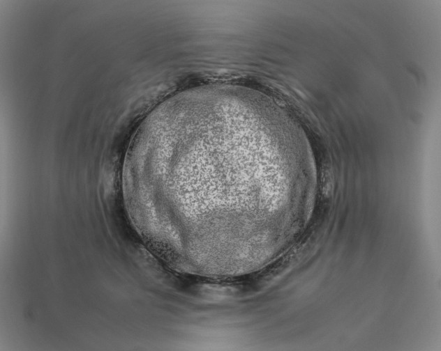 X0000112950515200909071118