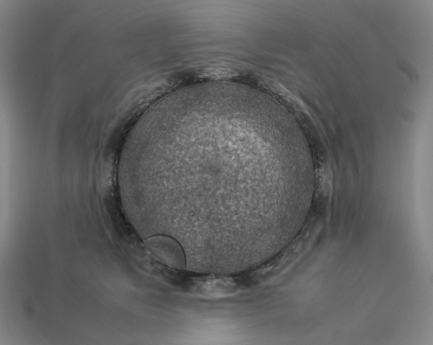 X0000112950517200909071118