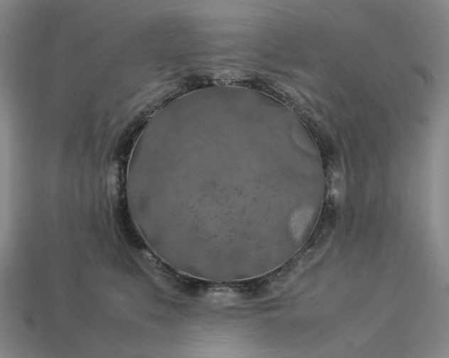 X0000112950519200909071118