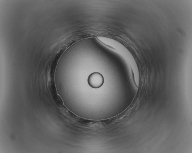 X0000112950520200909071118