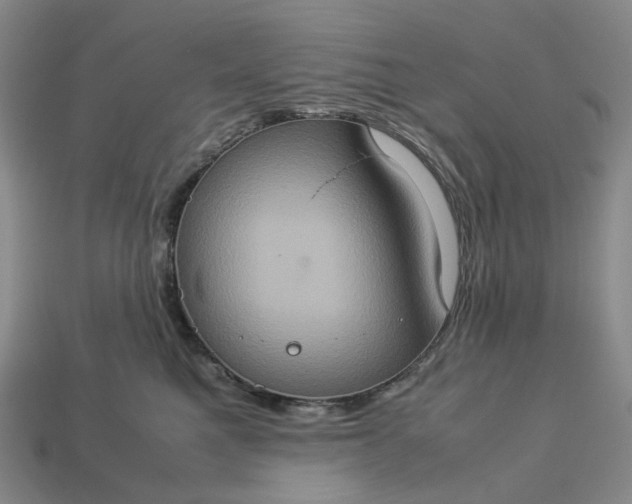 X0000112950521200909071118