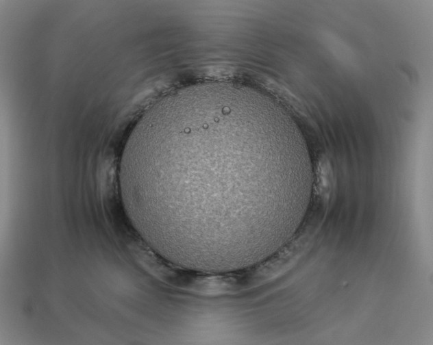 X0000112950522200909071118