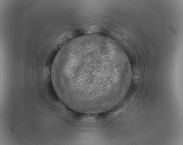 X0000112950523200909071118