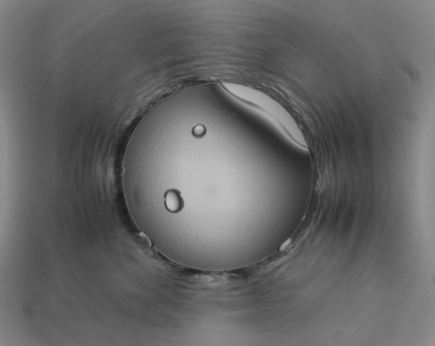 X0000112950524200909071118