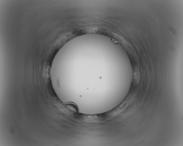 X0000112950525200909071118