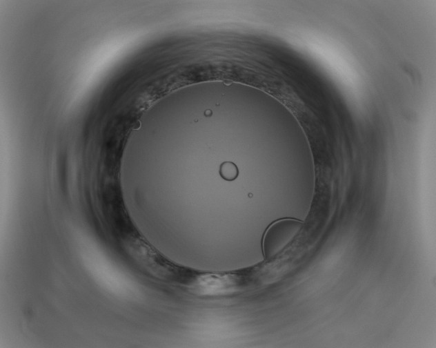 X0000112950526200909071118