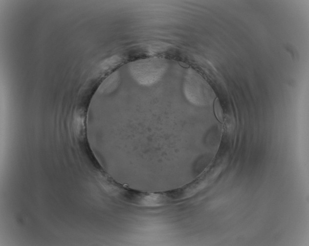 X0000112950527200909071118