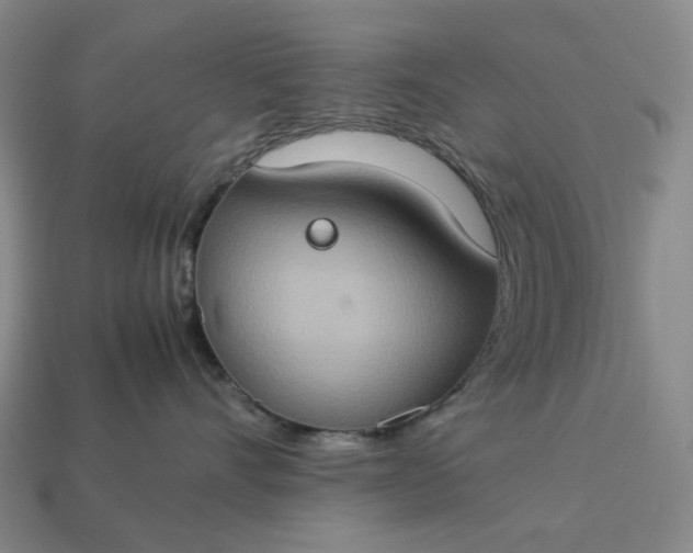 X0000112950528200909071118