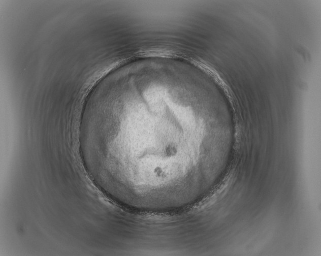 X0000112950529200909071117