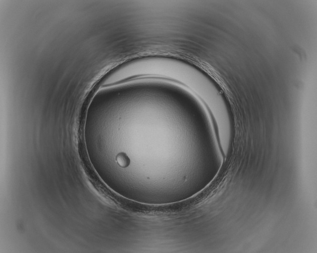 X0000112950530200909071117