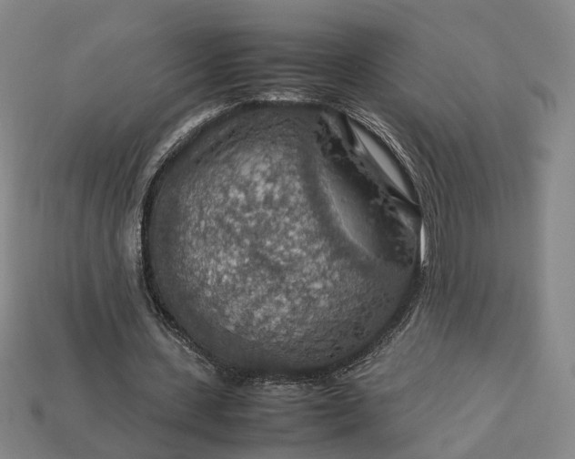 X0000112950531200909071117