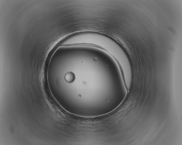 X0000112950532200909071117