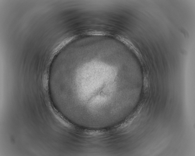 X0000112950533200909071117