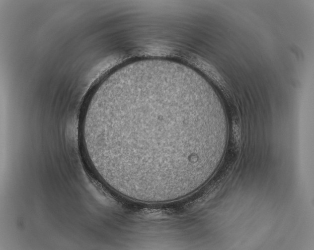 X0000112950534200909071117