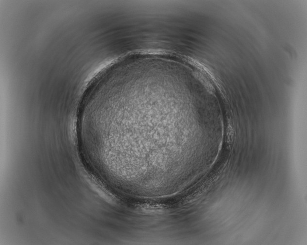 X0000112950535200909071117