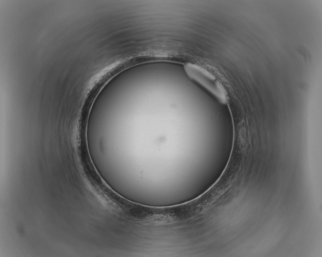 X0000112950536200909071117