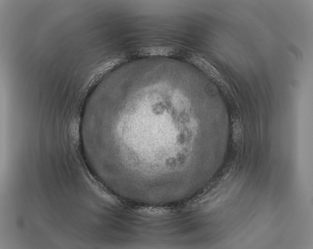 X0000112950537200909071117