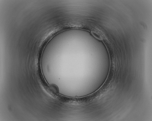 X0000112950538200909071117