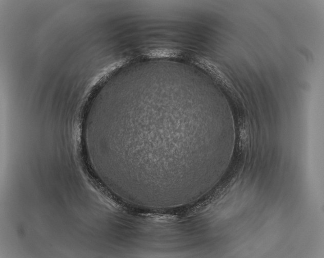 X0000112950539200909071117