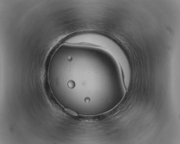 X0000112950540200909071117