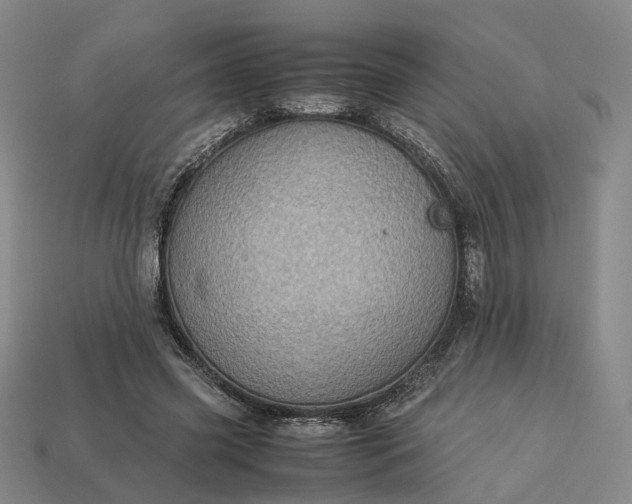 X0000112950541200909071117