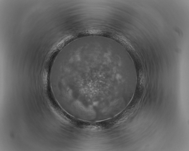 X0000112950542200909071117