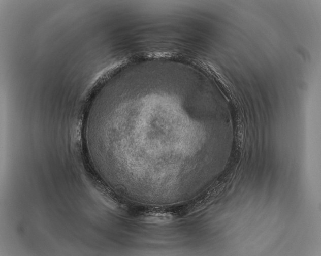 X0000112950543200909071117