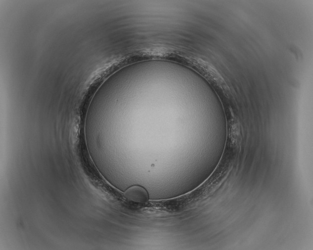 X0000112950544200909071117