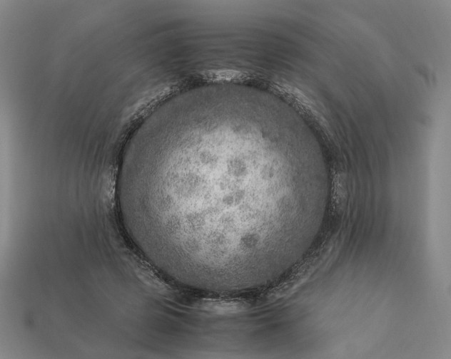 X0000112950545200909071117