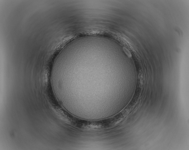 X0000112950546200909071117