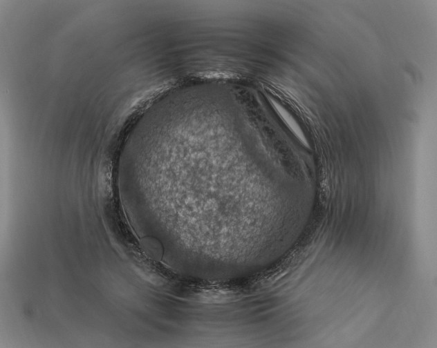 X0000112950547200909071117