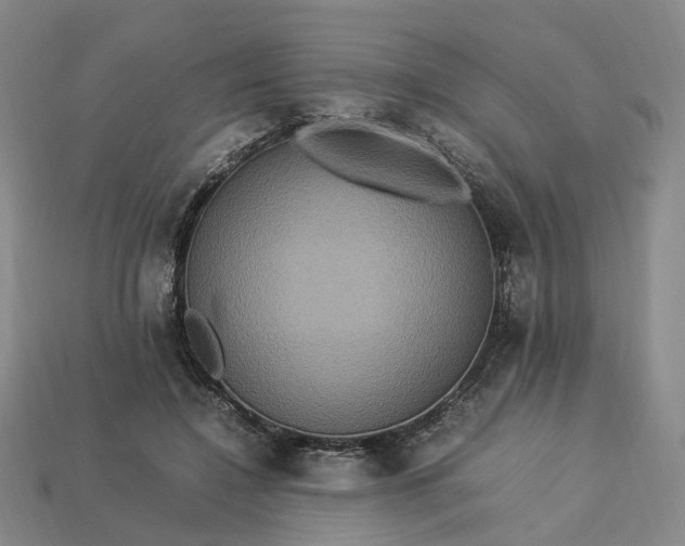 X0000112950548200909071117