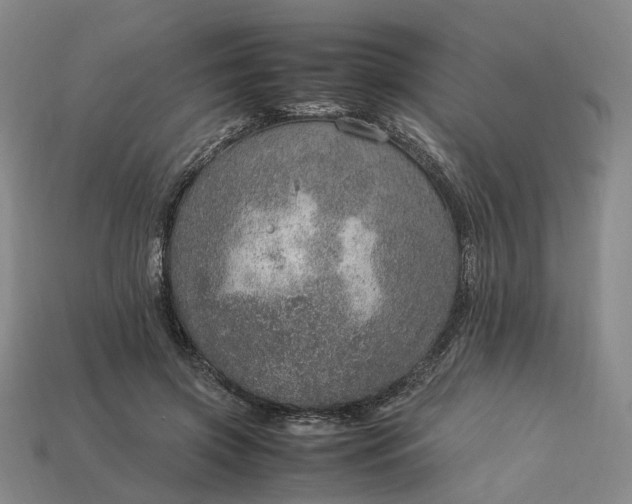 X0000112950549200909071117