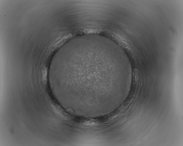 X0000112950550200909071117