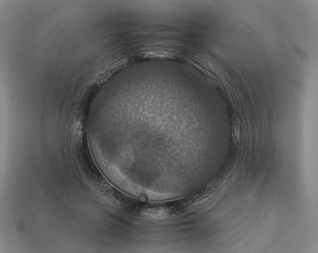 X0000112950551200909071117