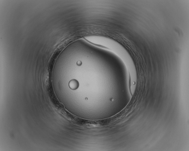 X0000112950552200909071118