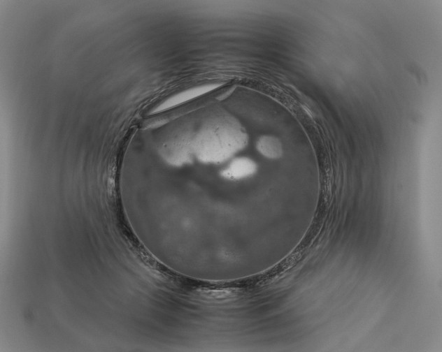 X0000112950553200909071118