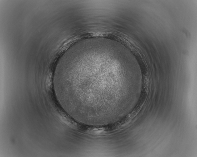 X0000112950554200909071118