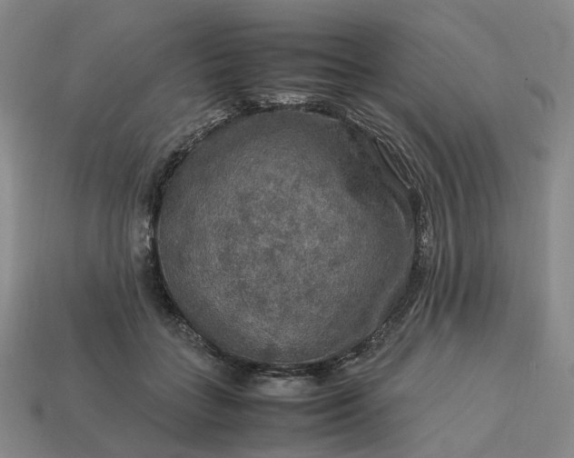 X0000112950555200909071118