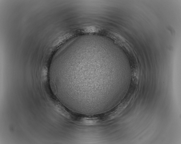 X0000112950556200909071118