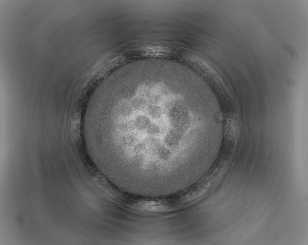 X0000112950557200909071118