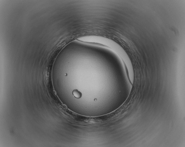 X0000112950558200909071118